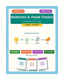 Habitats & Food Chains Science Stations | Food Webs, Decomposers | Grades 2-5