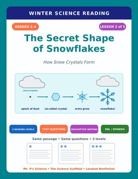 Reading Comprehension Passages & Questions | Snowflakes Winter | 2nd 3rd 4th