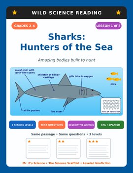 Sharks Ocean Animals Reading Comprehension Passages & Questions | 2nd 3rd 4th