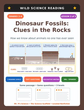 Dinosaurs & Fossils Reading Comprehension Passages & Questions | 2nd 3rd 4th