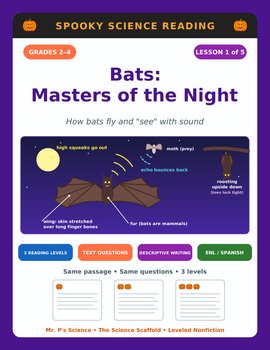Bats Halloween Reading Comprehension Passages & Questions | 2nd 3rd 4th Grade
